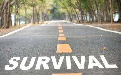 Essential Survival Strategies: Are You Truly Prepared