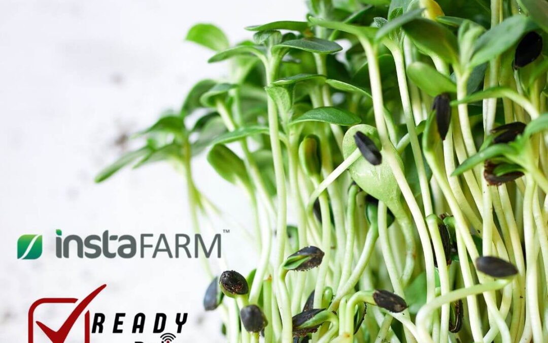 Prep Smart: Microgreens, Senior Safety, and Essential Gear